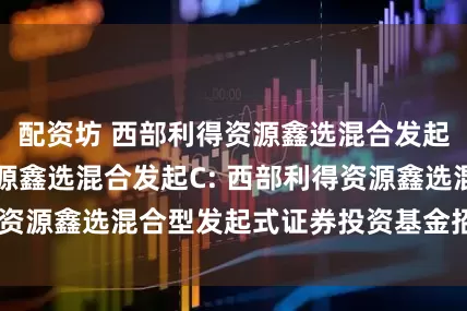 配资坊 西部利得资源鑫选混合发起A,西部利得资源鑫选混合发起C: 西部利得资源鑫选混合型发起式证券投资基金招募说明书
